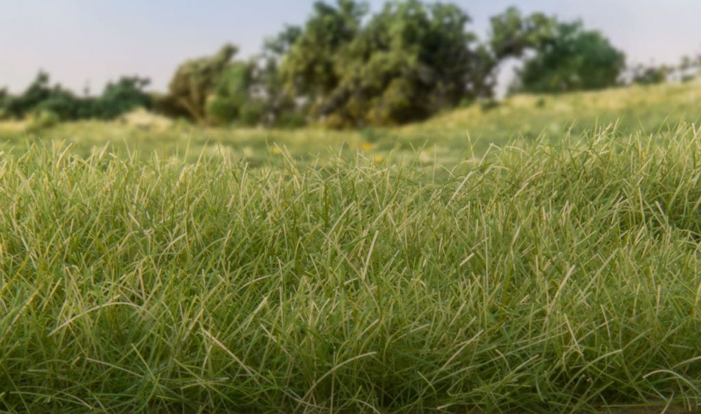 Woodland Scenics 4mm Static Grass Medium Green Fs618 for sale online